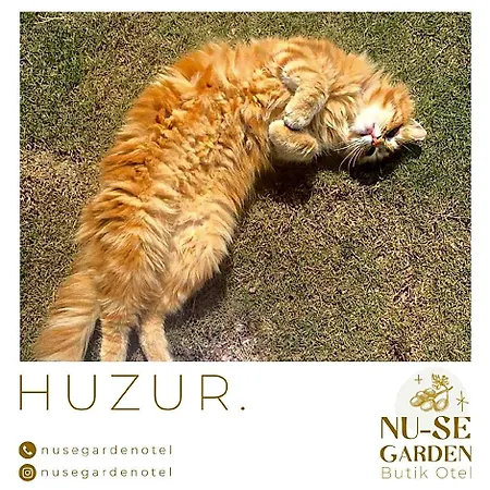 Szálloda Nu-se Garden Butik